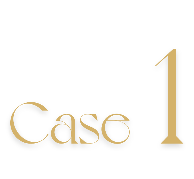 case1